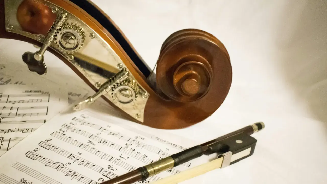 Instrumenty smyczkowe i nuty. Jak grać na kontrabasie? Poznaj tajniki muzyki.
