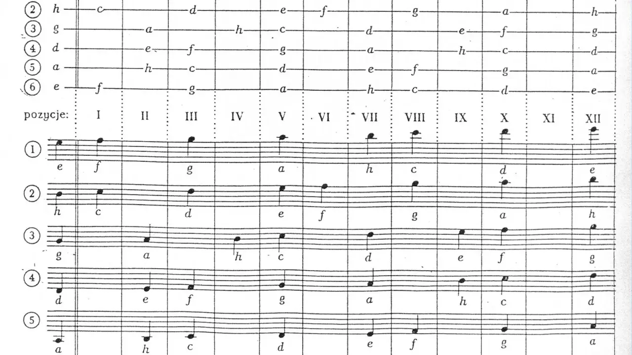 Diagram przedstawiający rozmieszczenie dźwięków na gryfie instrumentu, z nutacją muzyczną na pięciolinii.