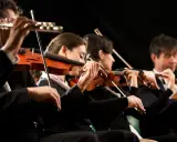 Orkiestra wykonuje utwór jednego z kompozytorów XX wieku. Skupieni muzycy grają na skrzypcach i wiolonczeli.
