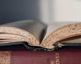 Stare, pożółkłe karty otwartej księgi, jak nuty w tonacji e-dur, opowiadają historie.