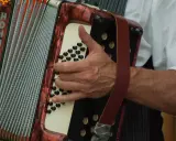 Dłoń gra na akordeonie HOHNER Junior 48. Ile trwa nauka gry na akordeonie? Zależy od zaangażowania!