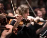Orkiestra wykonuje muzykę renesansu w Polsce. Skupienie na dłoniach grających na skrzypcach.