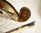 Instrumenty smyczkowe i nuty. Jak grać na kontrabasie? Poznaj tajniki muzyki.
