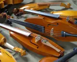 Kolekcja zabytkowych, drewnianych instrumentów smyczkowych. Te średniowieczne instrumenty, z ich ciepłym, lakierowanym wykończeniem, czekają na muzyków.
