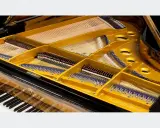 Wnętrze fortepianu z widocznymi strunami, młoteczkami i złotą ramą. Ten klawesyn instrument to dzieło sztuki.