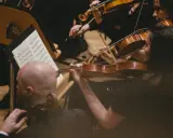 Skupieni muzycy grają na skrzypcach podczas części koncertu bez solisty. Nutki na pulpicie wskazują melodię.