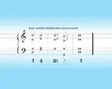 Fragment nutowy z oznaczeniami harmonicznymi, ilustrujący kadencję w muzyce.