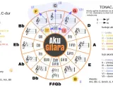Koło kwintowe z akordami i funkcjami w tonacjach C-dur i A-mol. Pomocne dla gitarzystów.
