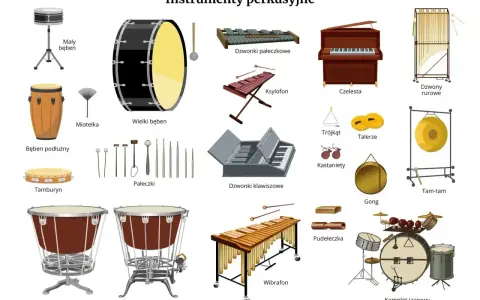 Instrumenty perkusyjne: od małego bębna po komplet jazzowy, wibrafon, kocioł pedałowy i inne.