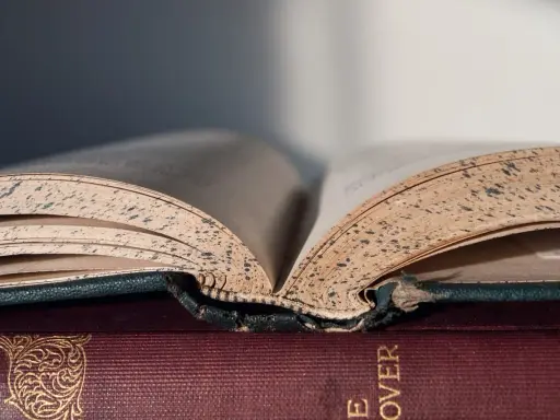 Stare, pożółkłe karty otwartej księgi, jak nuty w tonacji e-dur, opowiadają historie.