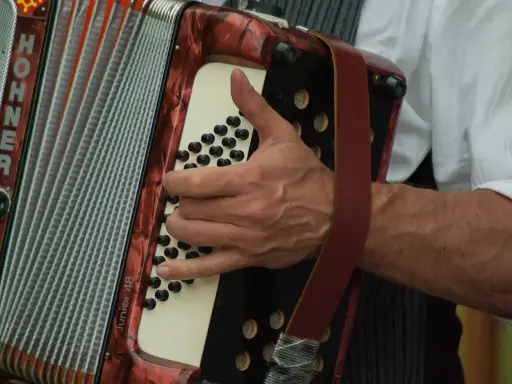 Dłoń gra na akordeonie HOHNER Junior 48. Ile trwa nauka gry na akordeonie? Zależy od zaangażowania!