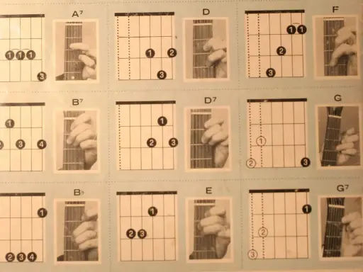 Diagramy akordów na gitarze: A7, B7, Bb, D, D7, E, F, G, G7. Poznaj, ile jest akordów na gitarze, ucząc się tych podstawowych chwytów.