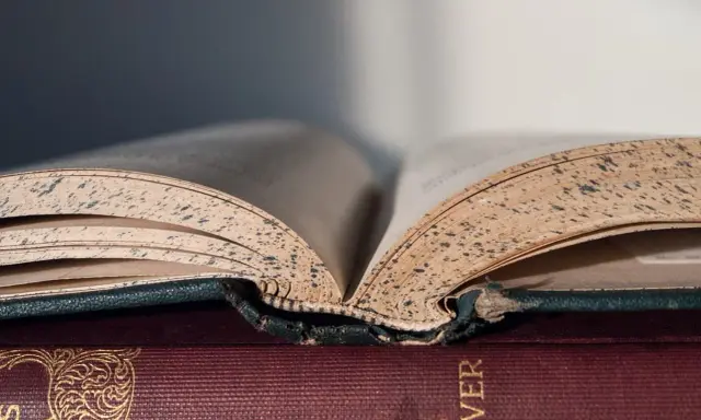 Stare, pożółkłe karty otwartej księgi, jak nuty w tonacji e-dur, opowiadają historie.