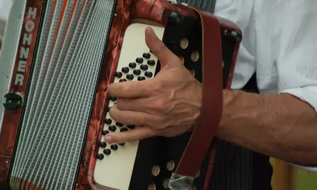 Dłoń gra na akordeonie HOHNER Junior 48. Ile trwa nauka gry na akordeonie? Zależy od zaangażowania!