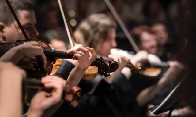 Orkiestra wykonuje muzykę renesansu w Polsce. Skupienie na dłoniach grających na skrzypcach.