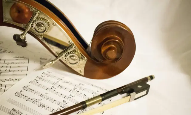 Instrumenty smyczkowe i nuty. Jak grać na kontrabasie? Poznaj tajniki muzyki.