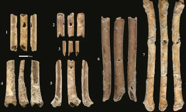 Fragmenty kości, które mogą być instrumentami prehistorycznymi, z widocznymi otworami i śladami obróbki.