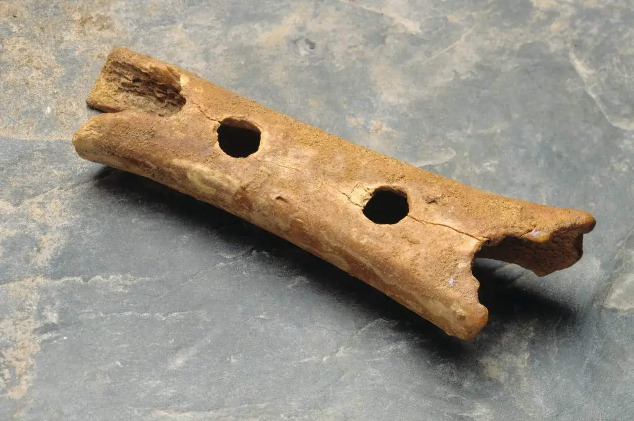 Starożytna fletnia z kości, jeden z najstarszych instrumentów prehistorycznych, z widocznymi otworami.